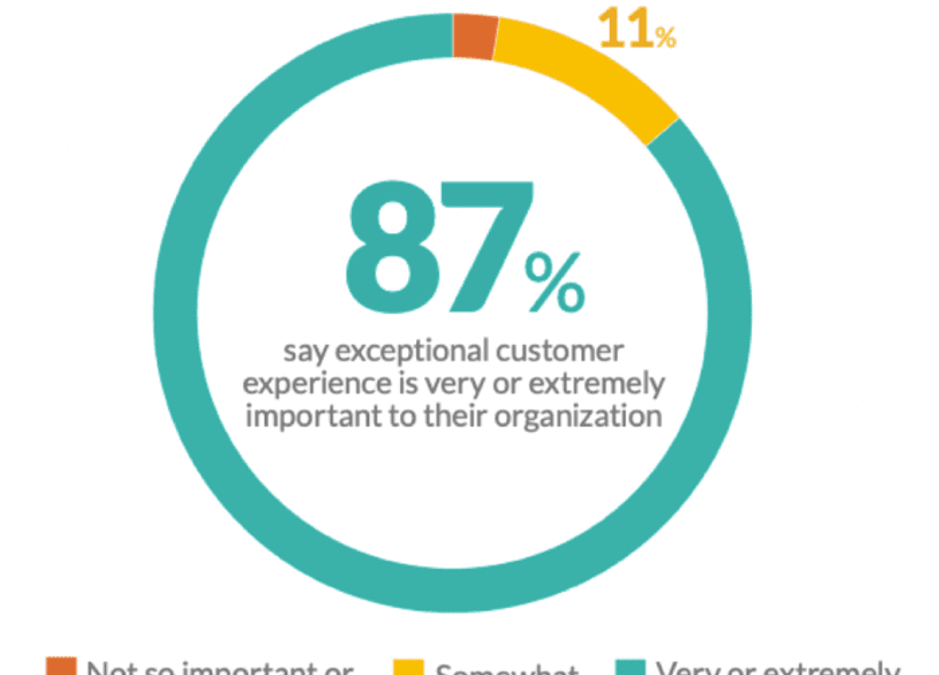 Customer experience statistics for 2020