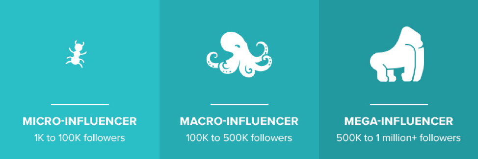 How to start a micro-influencer marketing campaign from scratch