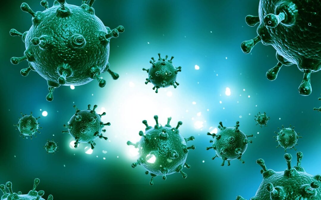 Virus Appreciation Day (October 3rd)
