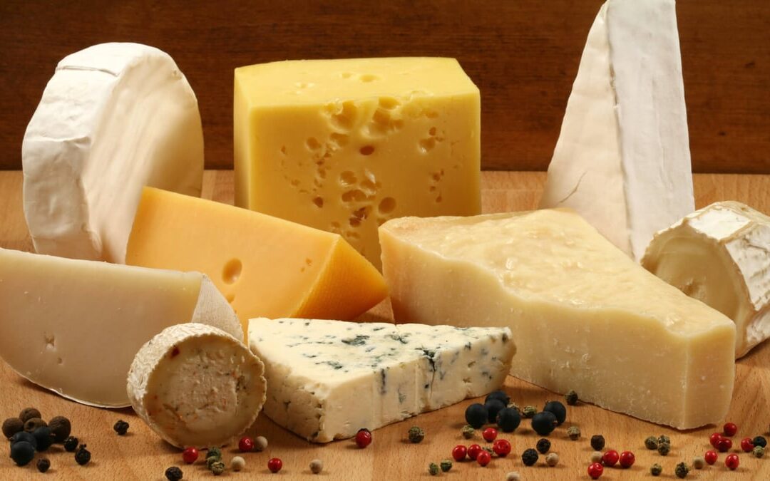 National Cheese Lovers Day (January 20th)