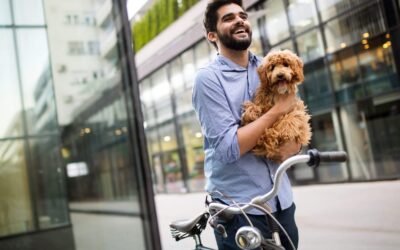 Doggy Date Night  (February 3rd)