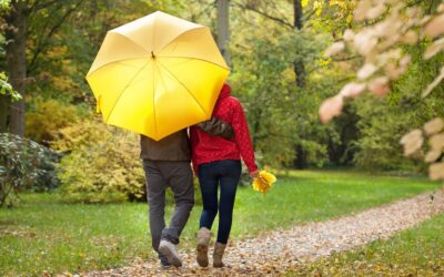 National Umbrella Day (February 10th)
