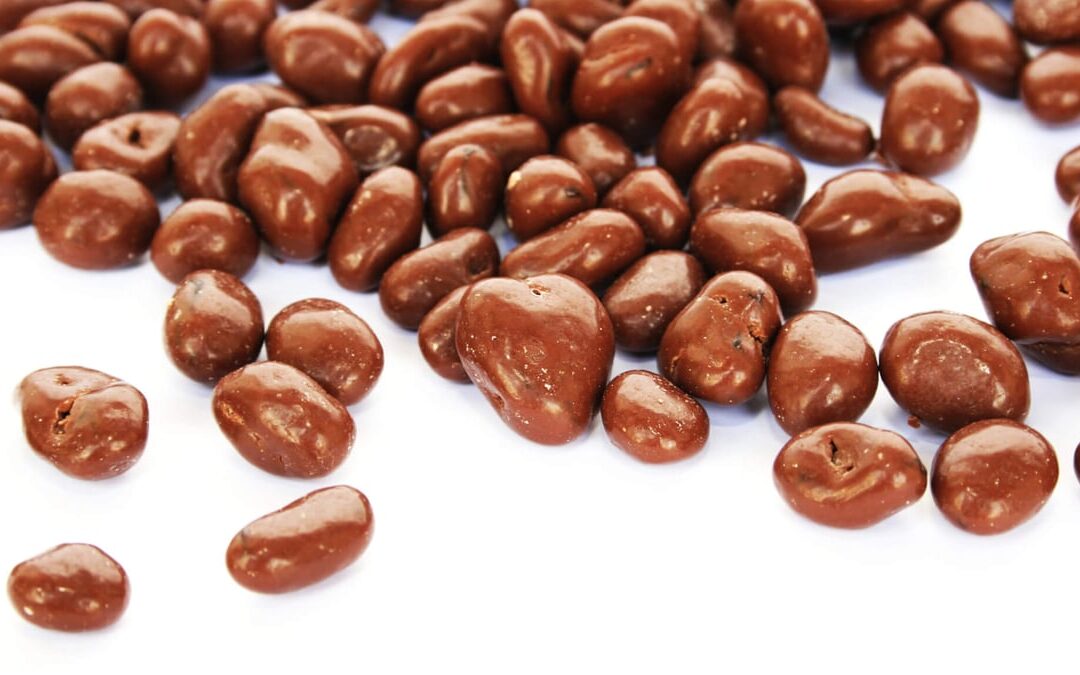 National Chocolate Covered Raisin Day (March 24th)