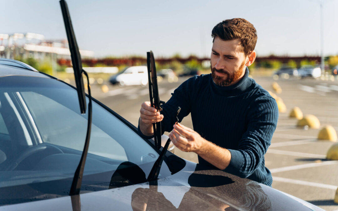 Check Your Wipers Day (November 16th)