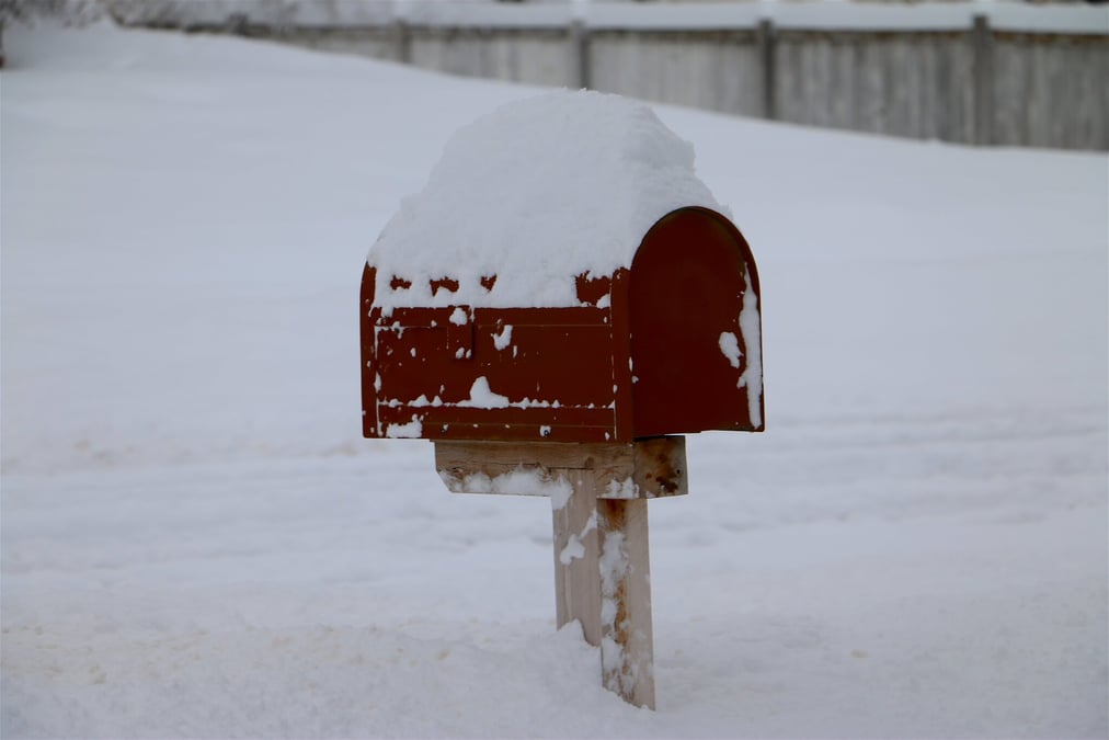 Snowplow Mailbox Hockey Day (January 23rd)