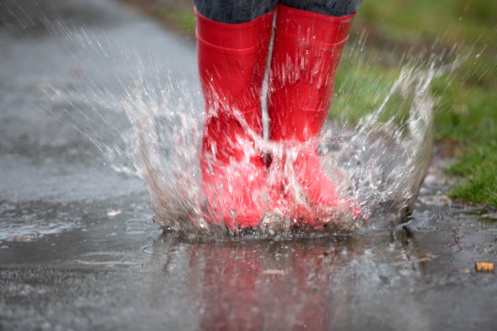 National Step in a Puddle and Splash Your Friends Day (January 11th)