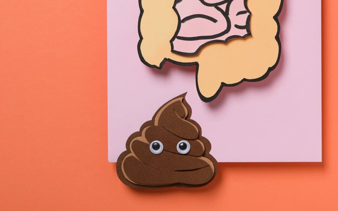 National Poop Day (February 10th, 2025)