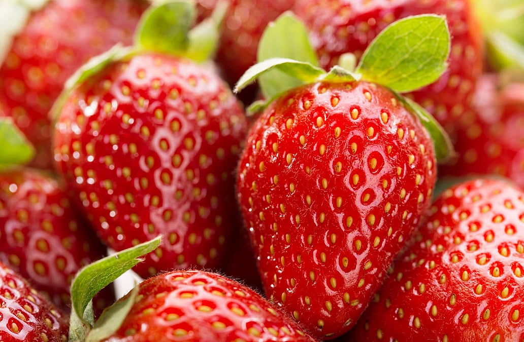 National Strawberry Day (February 27th)