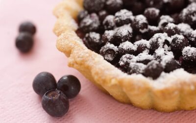 National Blueberry Pie Day (April 28th)