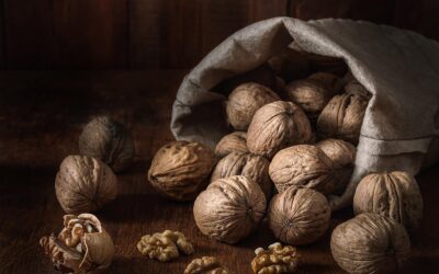 National Walnut Day (May 17th)