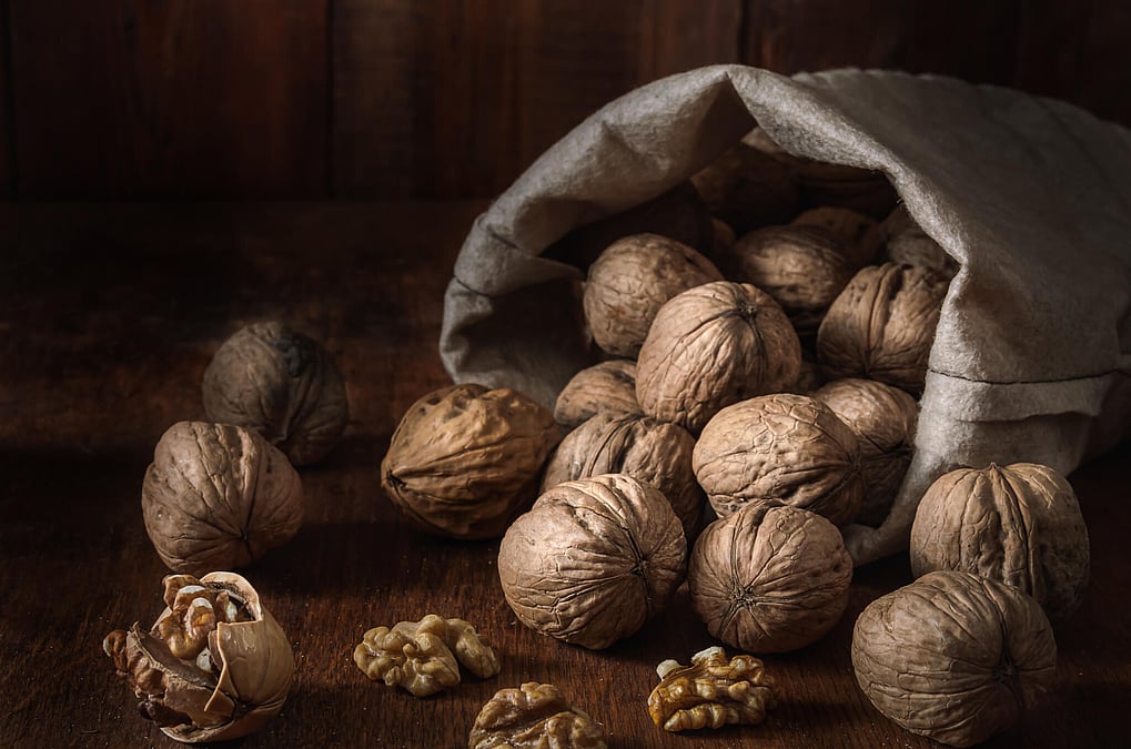 National Walnut Day (May 17th)