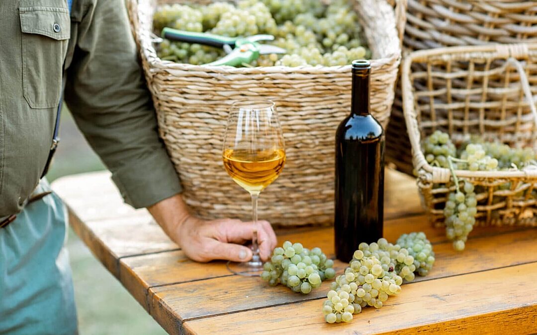 Chardonnay Day (May 22nd, 2025)
