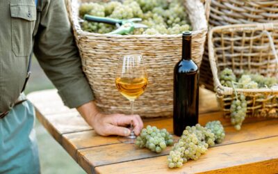 Chardonnay Day (May 22nd, 2025)