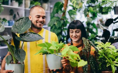 International Day of Plant Health (May 12th)