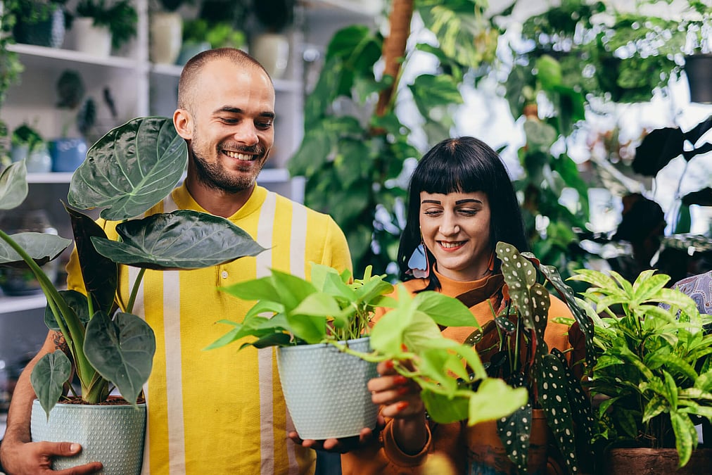 International Day of Plant Health (May 12th)