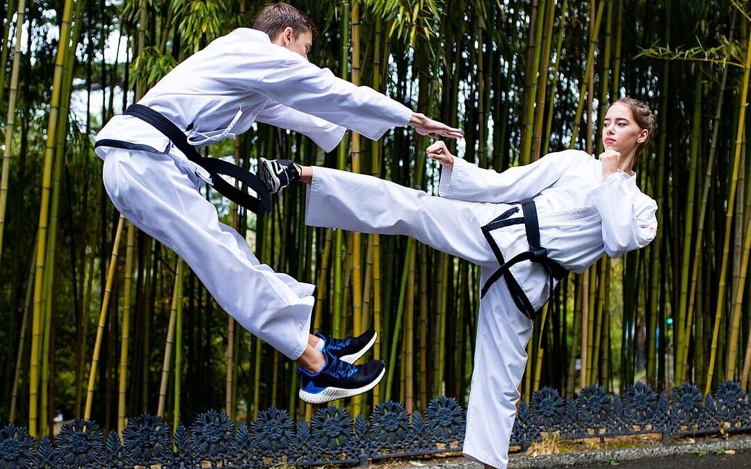 International Taekwondo Day (September 4th)