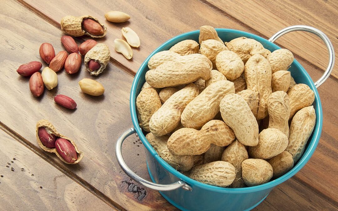 National Peanut Day (September 13th)