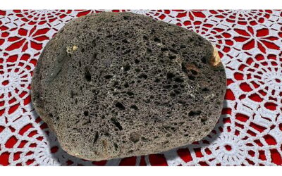National Pet Rock Day (September 7th, 2025)