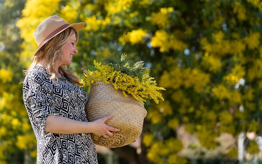 Wattle Day (September 1st) | Days Of The Year