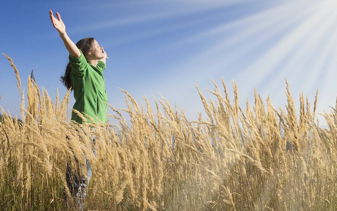 World Gratitude Day (September 21st)
