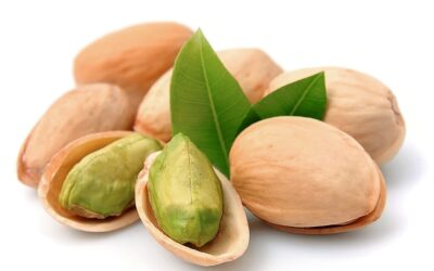National Pistachio Day (February 26th)