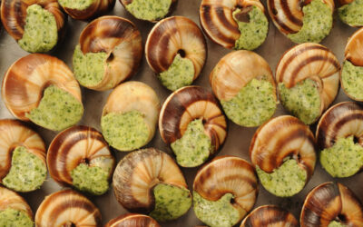 National Escargot Day | Days Of The Year