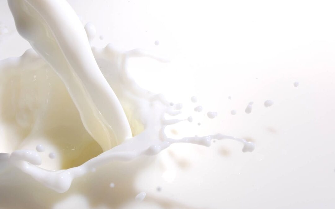 World Milk Day | Days Of The Year