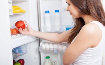 World Refrigeration Day | Days Of The Year