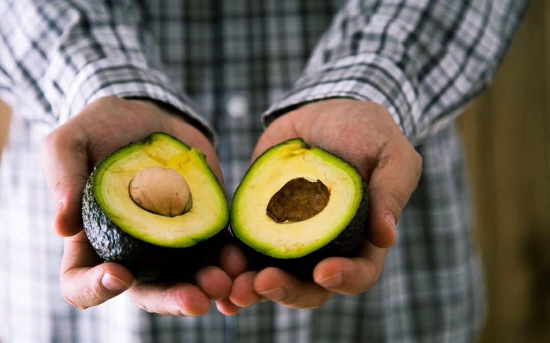 National Avocado Day | Days Of The Year