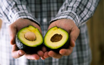 National Avocado Day | Days Of The Year