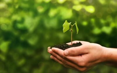 World Nature Conservation Day | Days Of The Year