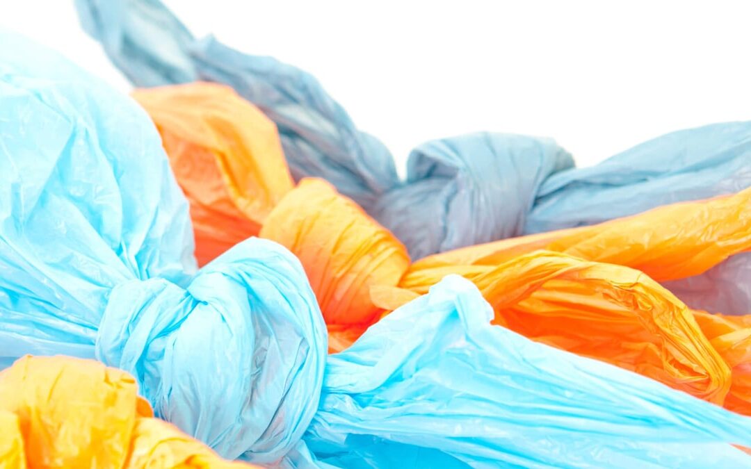 International Plastic Bag Free Day