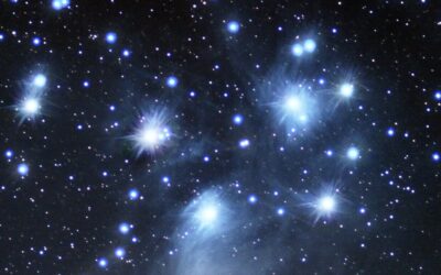 Matariki | Days Of The Year