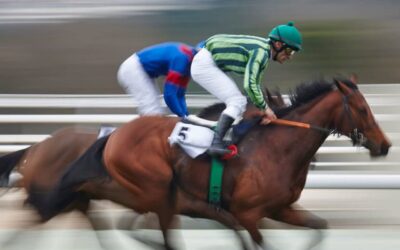 Palio Horse Race in Siena