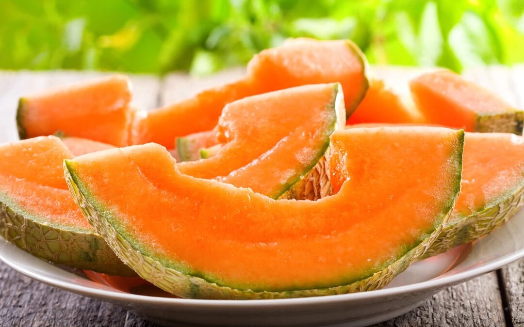 Melon Day | Days Of The Year