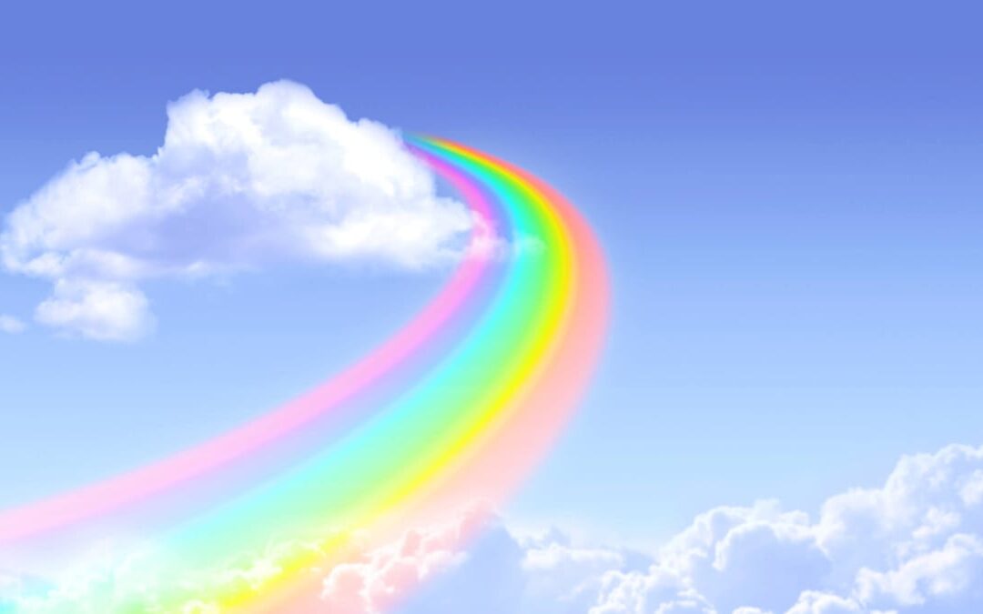 Rainbow Bridge Remembrance Day | Days Of The Year