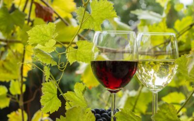 International Grenache Day | Days Of The Year