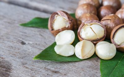 National Macadamia Nut Day | Days Of The Year